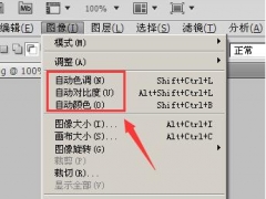 ps自动颜色在那有什么用 ps自动颜色校正选项在哪